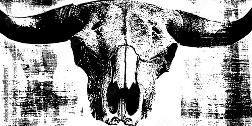 Ox skull presented in high contrast grunge background