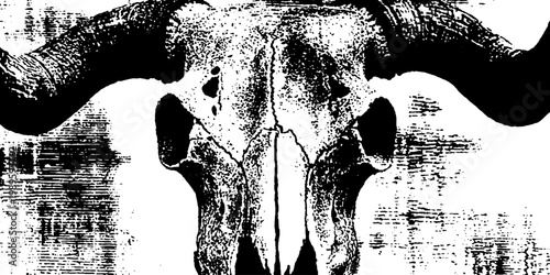 Buffalo skull shown with prominent horns on textured panel