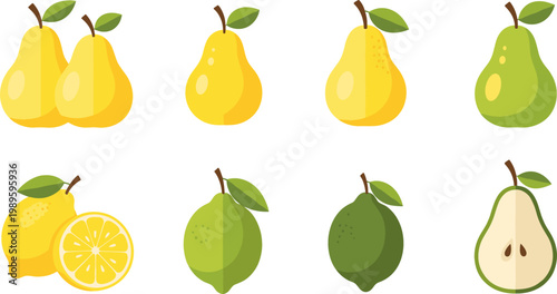 Vector Set of Yellow and Green Pears, Whole and Sliced, for Fresh Food, Healthy Eating, and Nutrition Designs