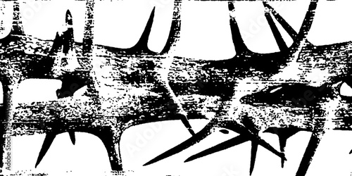 Thorny branch crossing overlapping in high contrast closeup