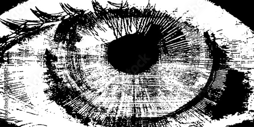 Iris detail showing concentric radial lines on white background