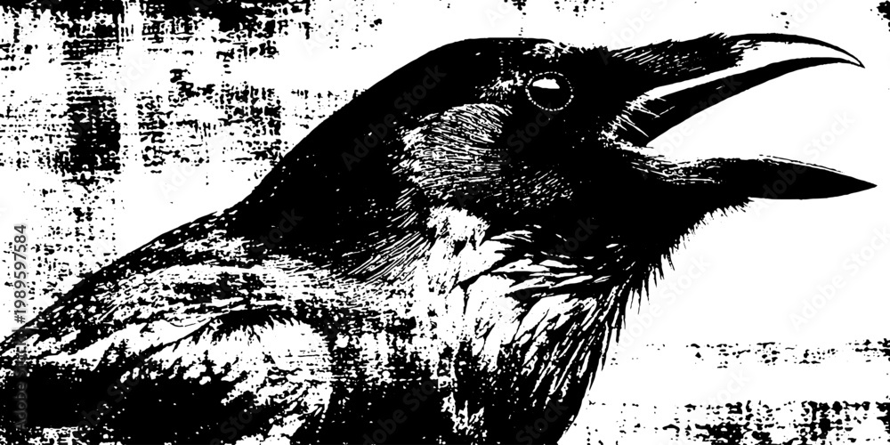 Fototapeta premium Raven calling with open beak on grunge textured background
