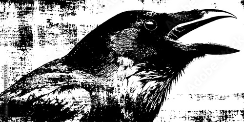 Raven calling with open beak on grunge textured background