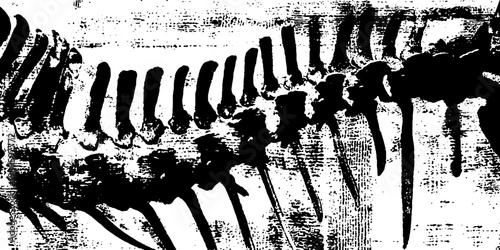 Centipede like segmented body stretched across grungy background