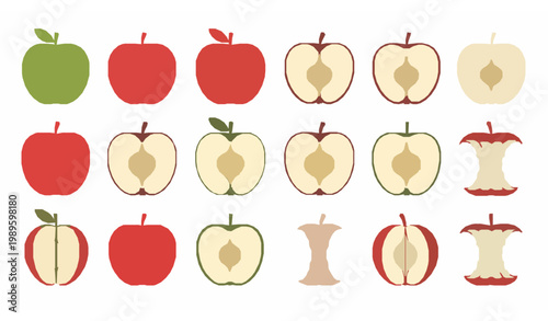 Apple fruit illustration set with whole sliced and bitten apples in flat CAD style vector collection for food design