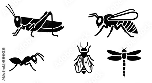 Insect Silhouettes Set: Grasshopper, Bee, Ant, Fly, and Dragonfly Icons