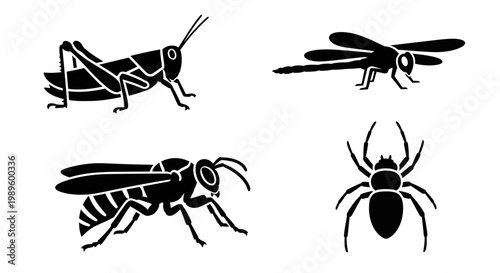 Insect silhouettes set: grasshopper, dragonfly, wasp, and spider icons
