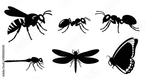 Insect Silhouettes Set: Wasp, Ants, Dragonfly, Damselfly, Butterfly Vector Icons