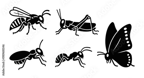 Insect silhouettes set: wasp, grasshopper, ants, and butterfly icons. Nature bug collection.