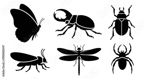 Insect Silhouettes Set. Various Bugs and Flying Creatures Icons on White Background