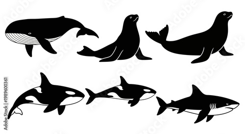Marine Animals Black Silhouettes Vector Set: Whale, Orca, Seal, and Shark