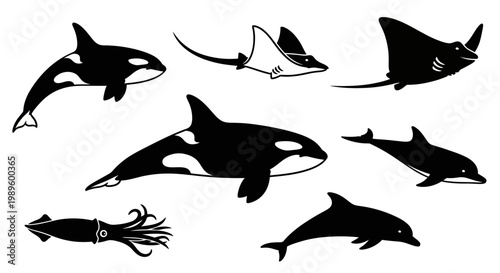 Marine Animals Silhouette Collection: Orca, Dolphin, Manta Ray, and Squid Vector Set