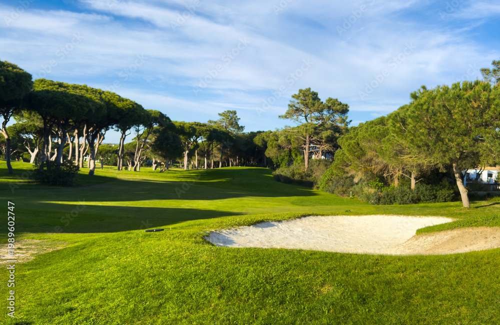 Fototapeta premium rake in a sand bunker on golf course