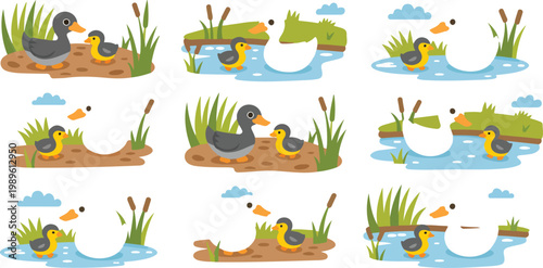 Cute cartoon duck and duckling vector illustration set featuring mother ducks and babies in pond with reeds and grass