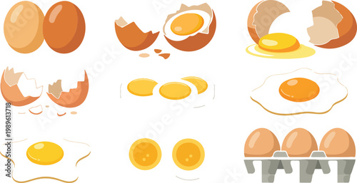 Fresh chicken egg vector illustration set featuring whole eggs cracked shells fried eggs and yolk for cooking and breakfast food design