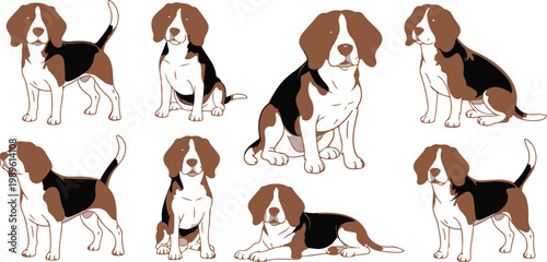Cute beagle dog vector illustration set featuring various poses including sitting standing and lying down for pet care and animal design
