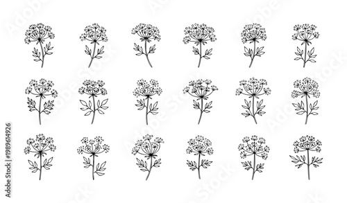 Flower Icon Set Featuring Floral Blossoms, Botanical Plants, Garden Flowers and Decorative Nature Elements for Spring, Wedding and Organic Design Projects