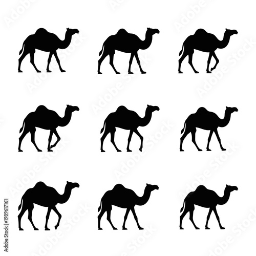 Nine Black Camel Silhouettes Walking in a Row on White Background