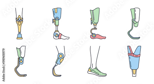 Prosthetic legs and feet for mobility.