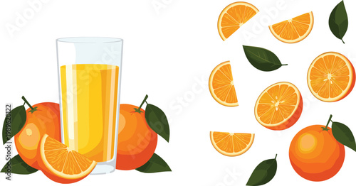 Fresh Orange Juice in Tall Glass with Whole Sliced and Half Cut Oranges and Green Leaves Flat Vector Illustration Set