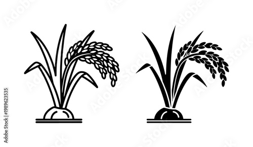 Rice Plant Grain Stalk Black Vector Icon Set
