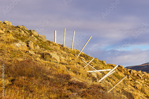 Landschaft mit Zaun und Gras im Osten von Island