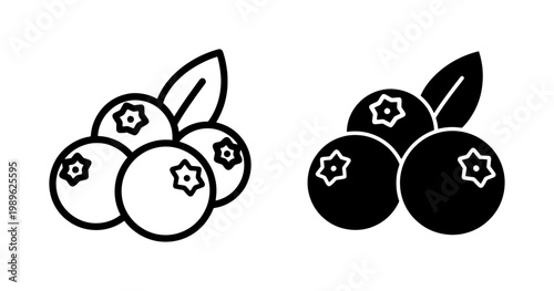 Blueberry fruit icon set with leaf in outline and solid style