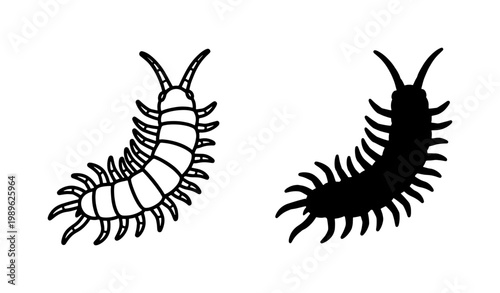 Bild auf Leinwand Centipede insect line art and black silhouette icon set