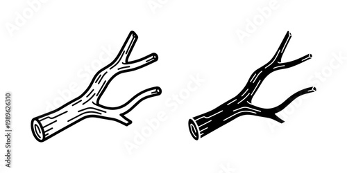 Hand Drawn Tree Branch Vector Illustration Set