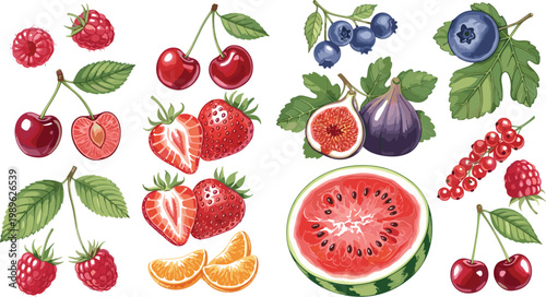 Mixed berries and fruits vector illustration set with strawberry raspberry cherry blueberry fig watermelon and citrus fresh colorful collection isolated