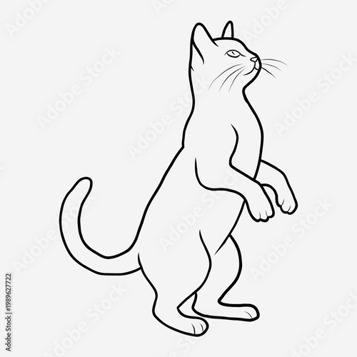 Minimalist Black Line Art Illustration of a Cat Standing on Hind Legs