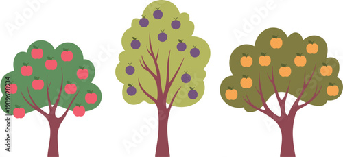 Fruit trees vector set, apple plum and orange trees illustration, colorful orchard plants for agriculture and nature