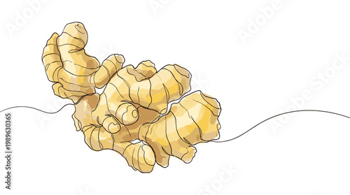 One line art illustration of ginger root vegetable for kitchen decor.