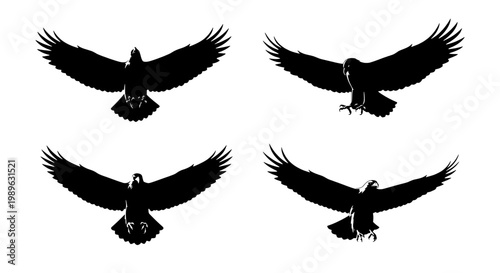 Eagle bird icon silhouette set with spread wings, sharp talons, and detailed feathers for nature and wildlife graphics