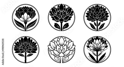 Lotus flowers set with intricate black and white designs in circular frames featuring floral, nature, botanical with art and illustration elements