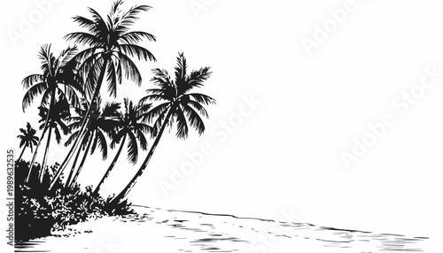 Palm trees stand on a sandy beach by the calm ocean water edge.