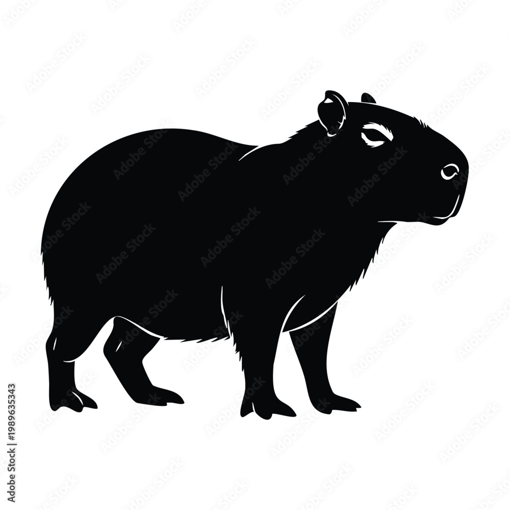 Obraz premium Capybara silhouette set bundle, large rodent mammal in profile.