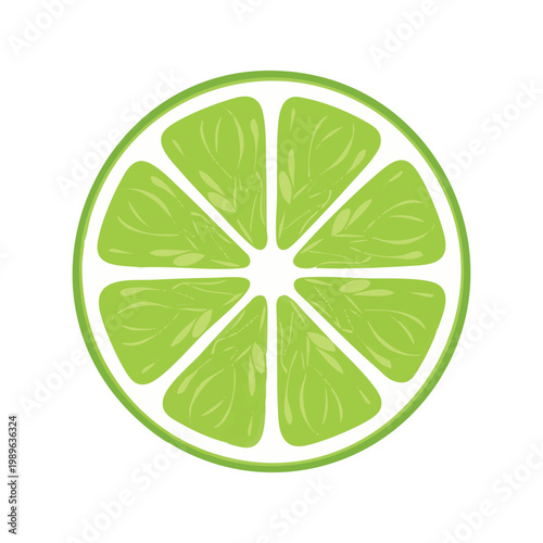 Fresh lime slice isolated citrus fruit icon