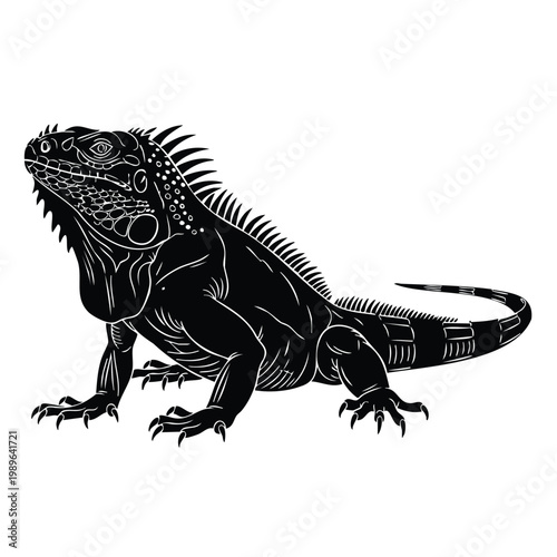 Iguana lizard black silhouette bundle, vector illustration, realistic iguana set.