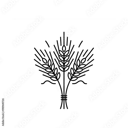 Fotografía Vector of a wheat sheaf with simple lines