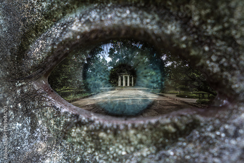 Close-up of a stone eye with a reflective view of classical architecture in the background.