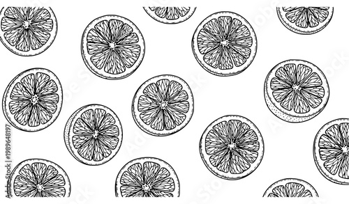 Scattered Citrus Fruit Doodle Set with Orange and Grapefruit Slices Black and White Vector Illustration Collection