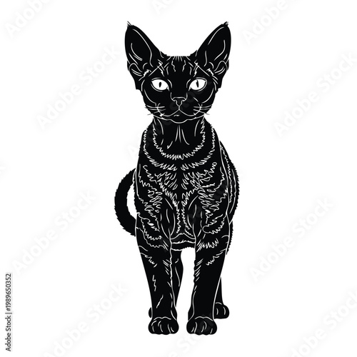 Silhouette set bundle of cat breed sphynx isolated on white background vector.