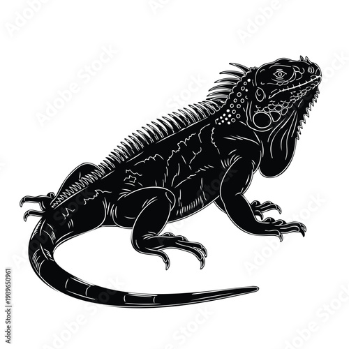 Silhouette set bundle of reptile iguana isolated on white background vector.