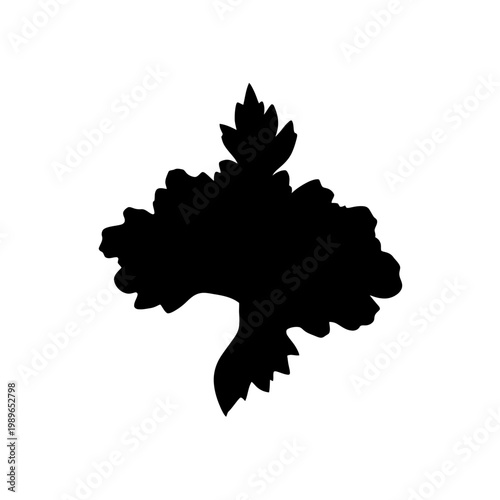 Silhouette of a Grapevine Leaf and Fruit Cluster.