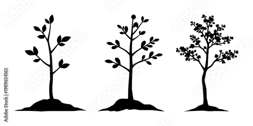 Tree sapling set with solid black icon on white background featuring reforestation, environmental, growth line art with forestry and sustainability