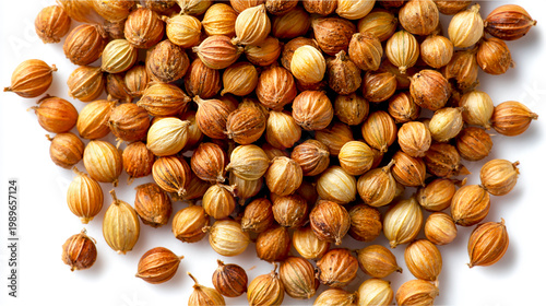 Photograph of coriander seeds on a white background