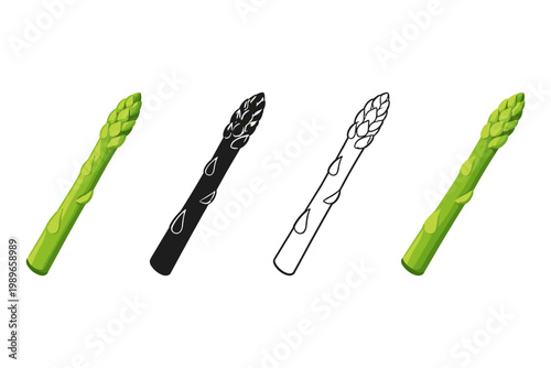Asparagus Vector Set