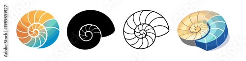 Nautilus Shell Spiral Design