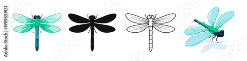 Dragonfly Illustrations Collection